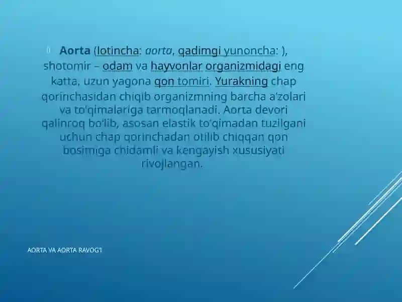 Aorta,aorta ravog’i.Umumiy,tashqi va ichki uyqu arteriyalari.Bosh miyaning qon bilan ta’minlanishi 3
