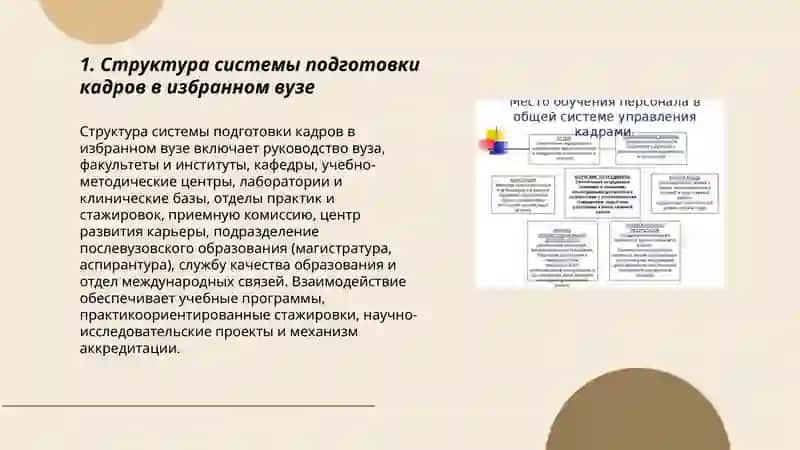 Система подготовки кадров в избранном вузе 3