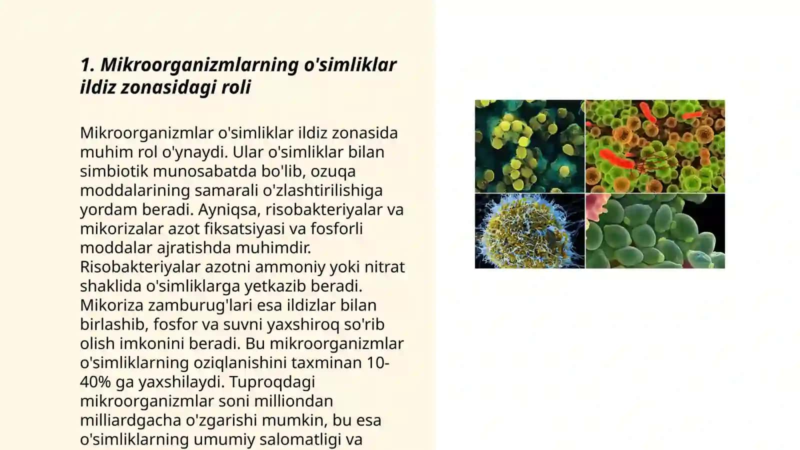 Òsimliklar oziqlanishda mikroorganizmlar ròli 3