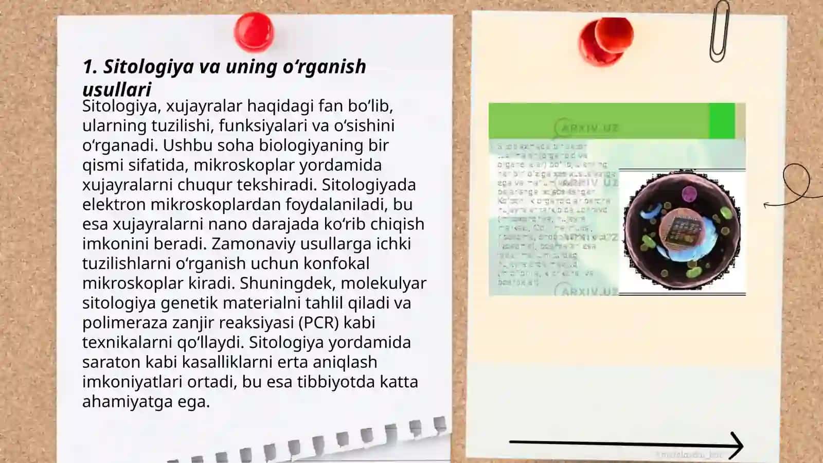 Sitologiya asoslari o'qitish metodikasi 3