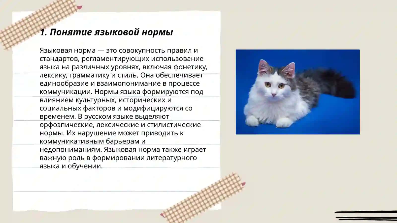 Языковая норма. Понятие, типы нормы 3