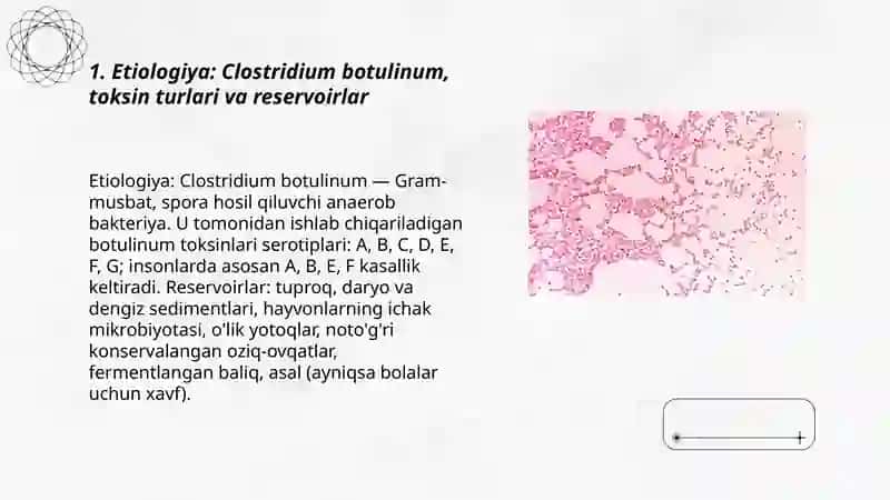 Botulizm kasalligining etiologiyasi klinikasi patogenezi tashxislash davolash 3