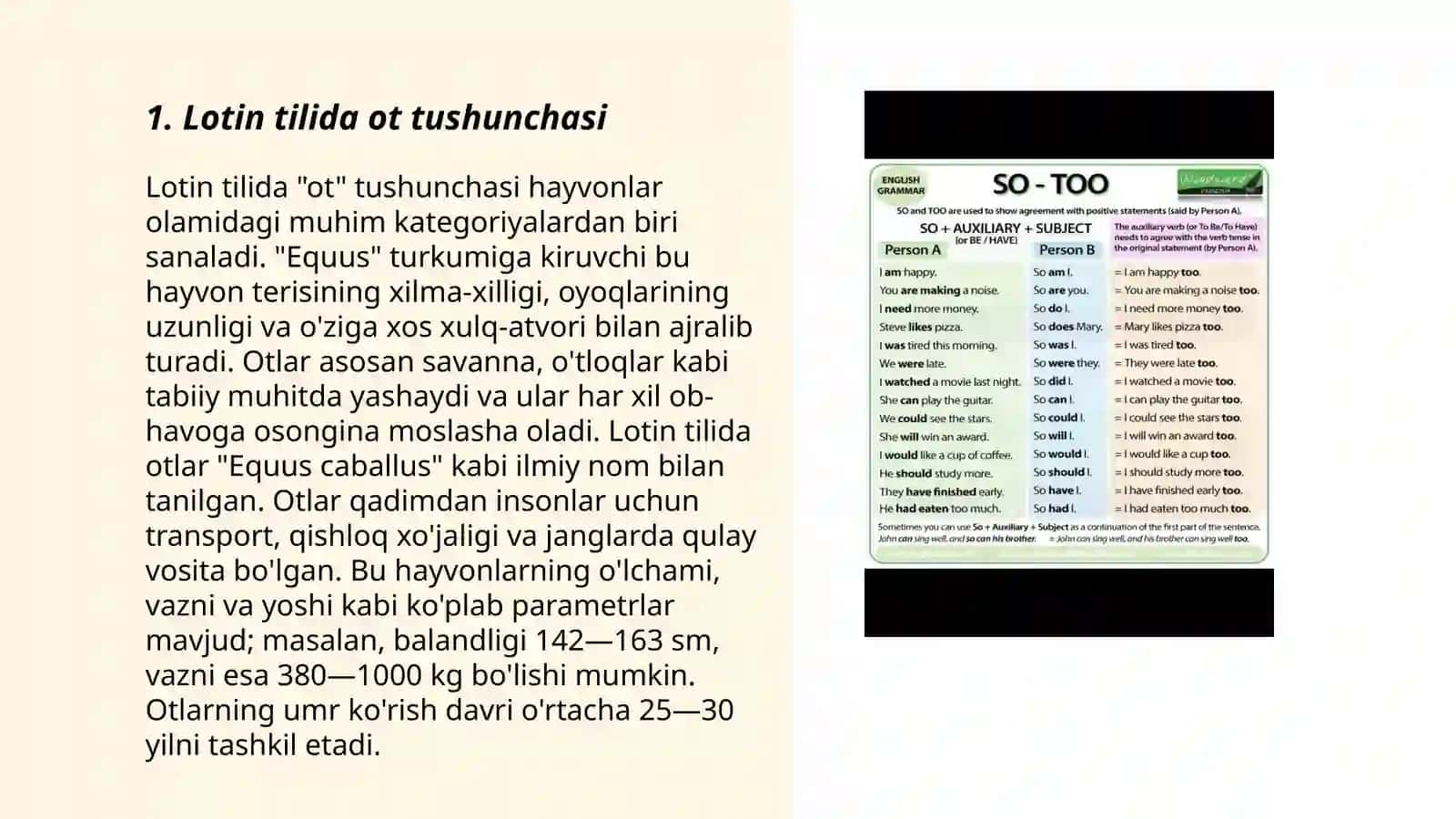 Lotin tilinining ot va uning grammatik kategoriyalari 3