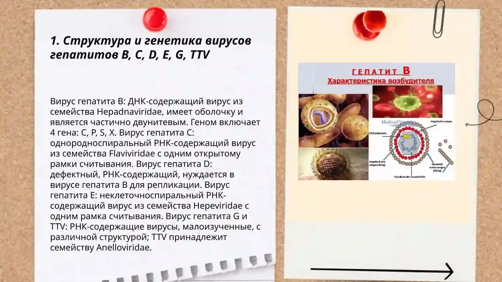 Лабораторная диагностика и характеристика возбудителей вирусных инфекции 3