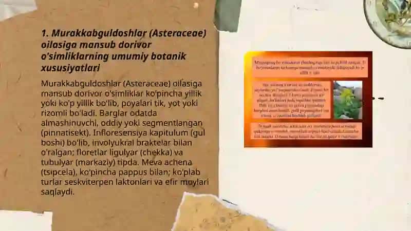 Murakkabguldoshlar va ziradoshlar oilalariga mansub dorivor o'simliklar 3
