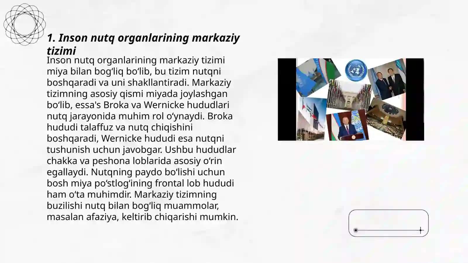 Inson nutq organlari markaziy va pereferik tizimi 3