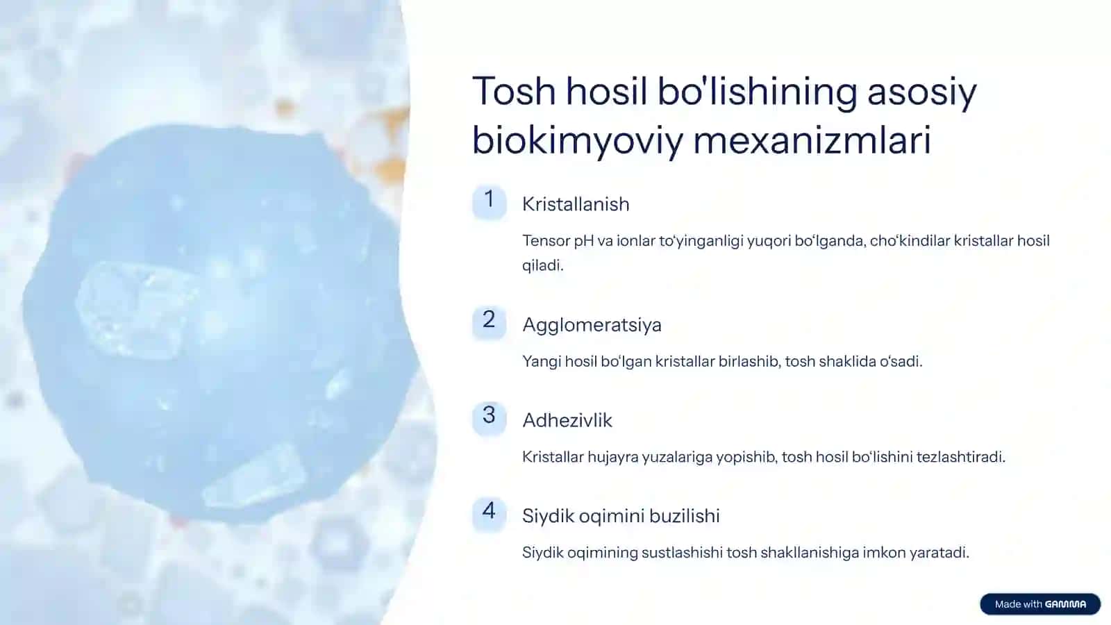 Buyraklarda tosh hosil bo'lishini oldini olishning biokimyoviy asoslari 3