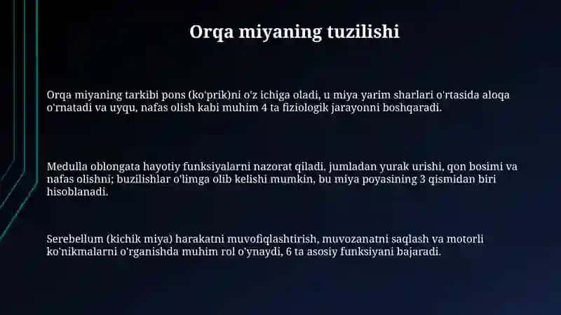 Orqa miya 3