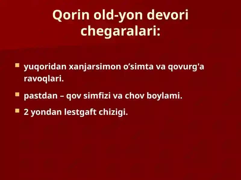 Qorin old-yon devorining jarrohlik anatomiyasi 3