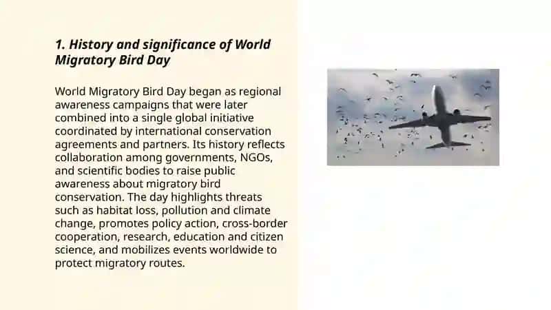 World Migratory Bird Day 3