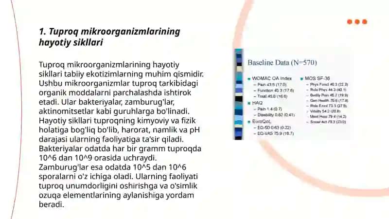 Tuproq mikroorganizmlarining funktsional vazifalari. 3
