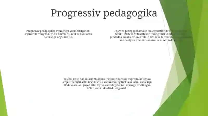 O'Quv Va Pedagogik Amaliyotni Tashkil Etish Shakillari 3