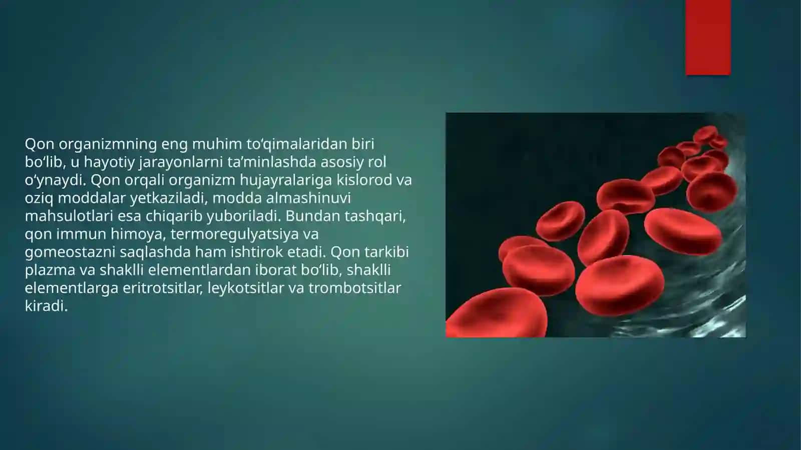 Qon hujayralarining fiziologiyasi va reprativ regniyatsiyasi mexanizmlari 3