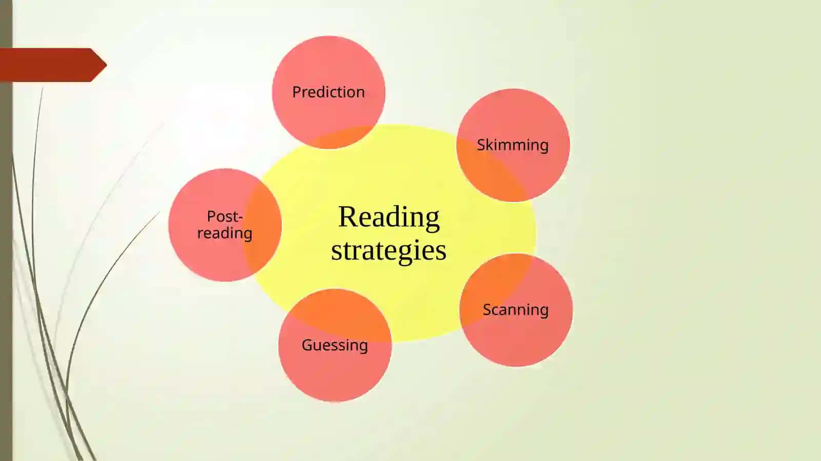 LECTURE 3READINGSTRATEGIES 3