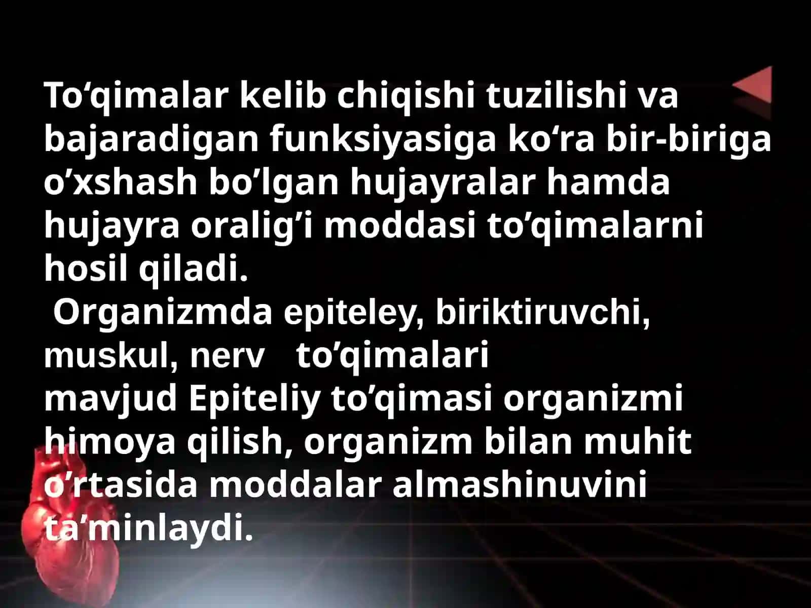 ODAM ORGANIZIMI TUZILISHI, SISTEMASI VA FUNKSIYASI 3