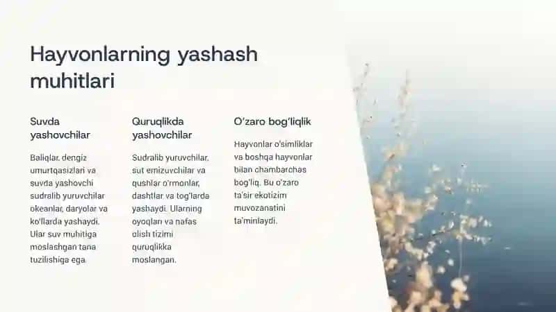 Fan: Tabiiy fanlar nazariyasi va metodikasi 3