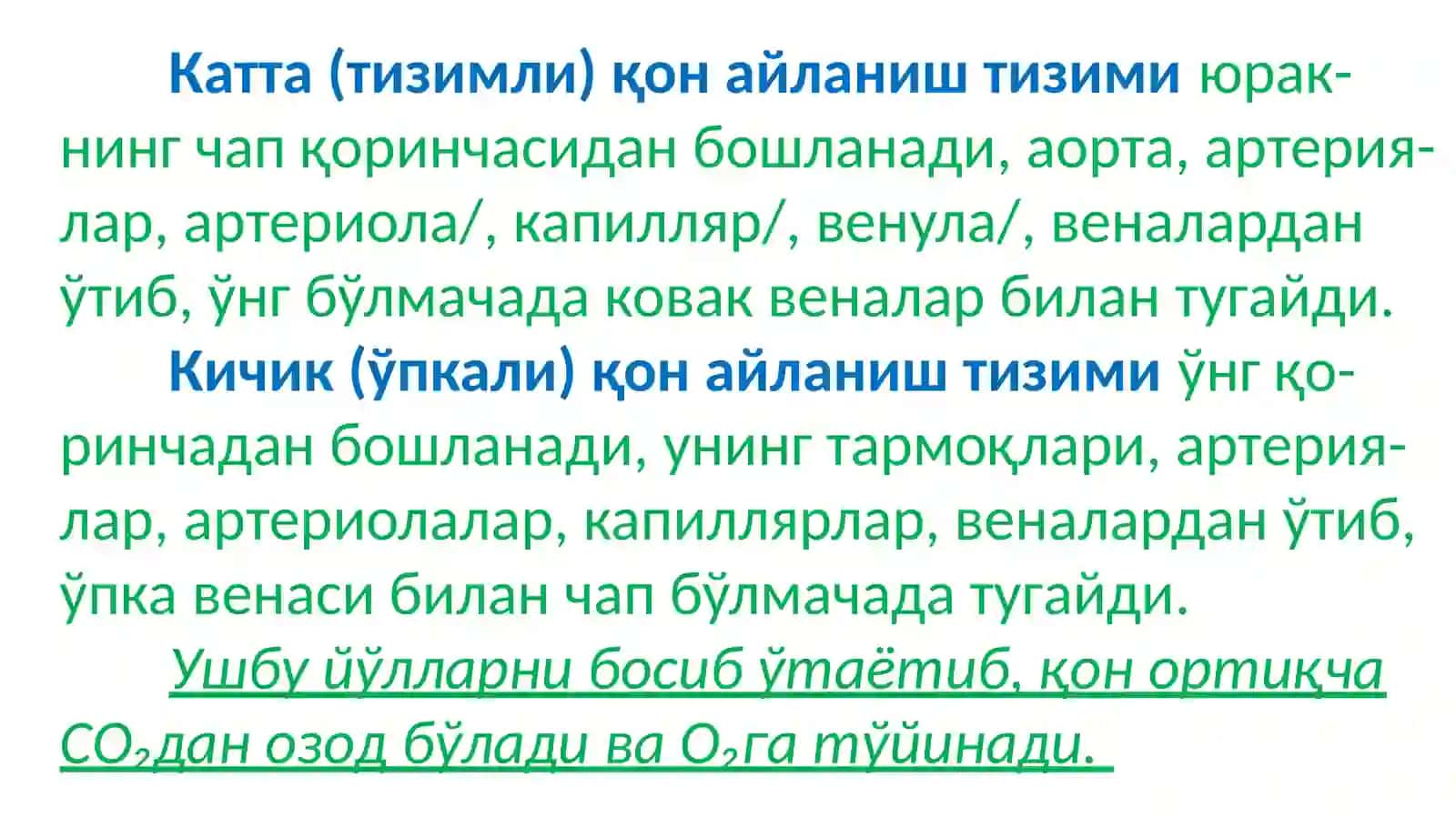 Юракнинггемодинамиквазифаси 3