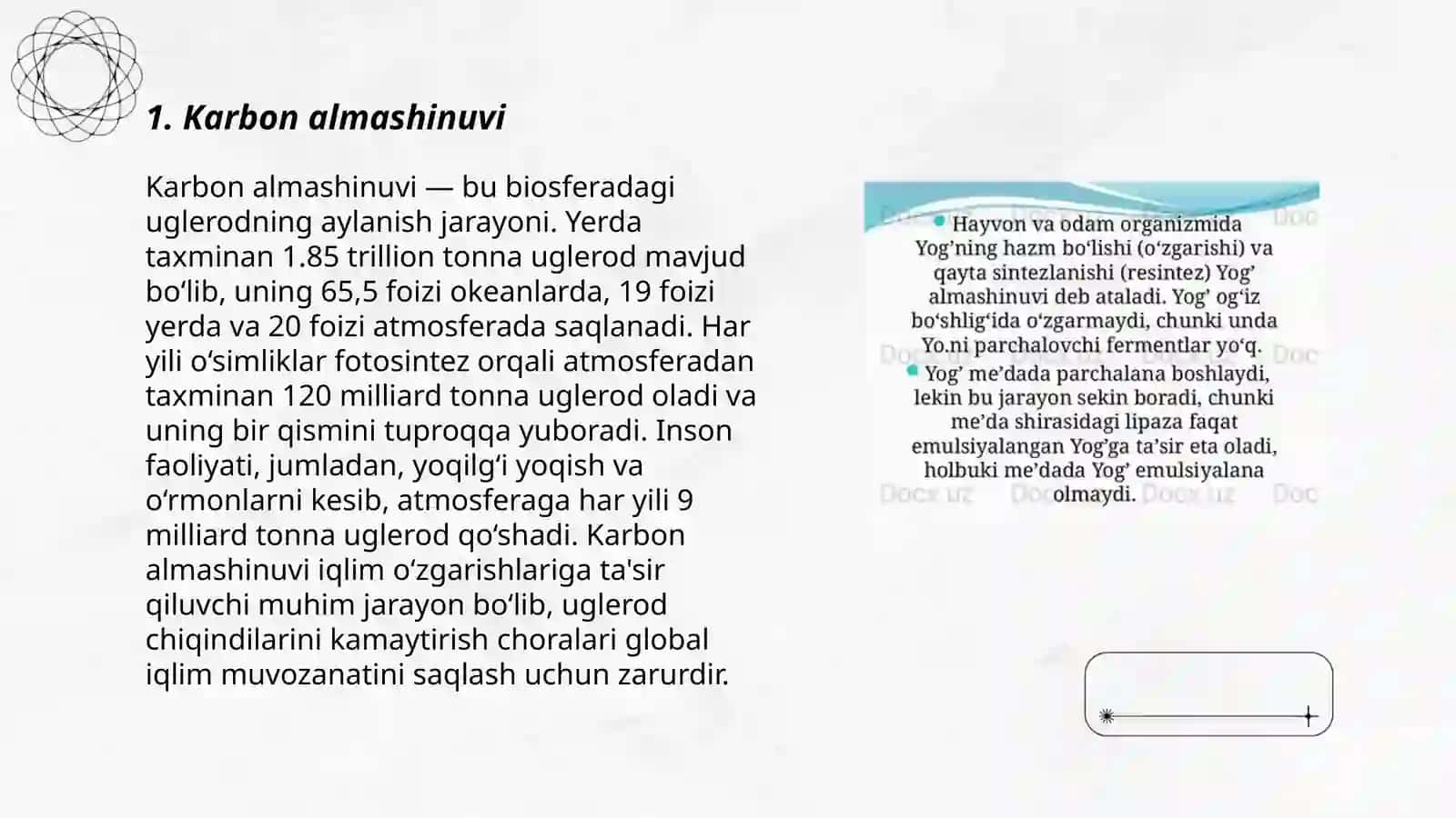 Karbon almashinuvi 3