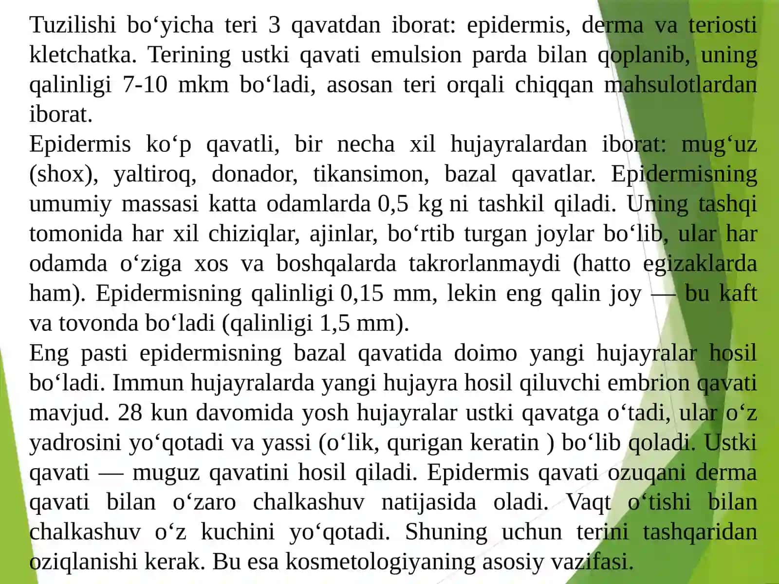 Terining tuzilishi va gigienik talablar 3