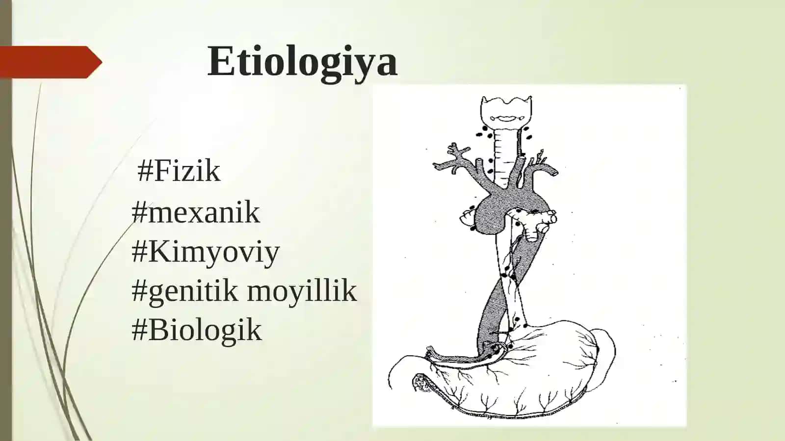 Qizilo’ngach va oshqozon sarotoni 3