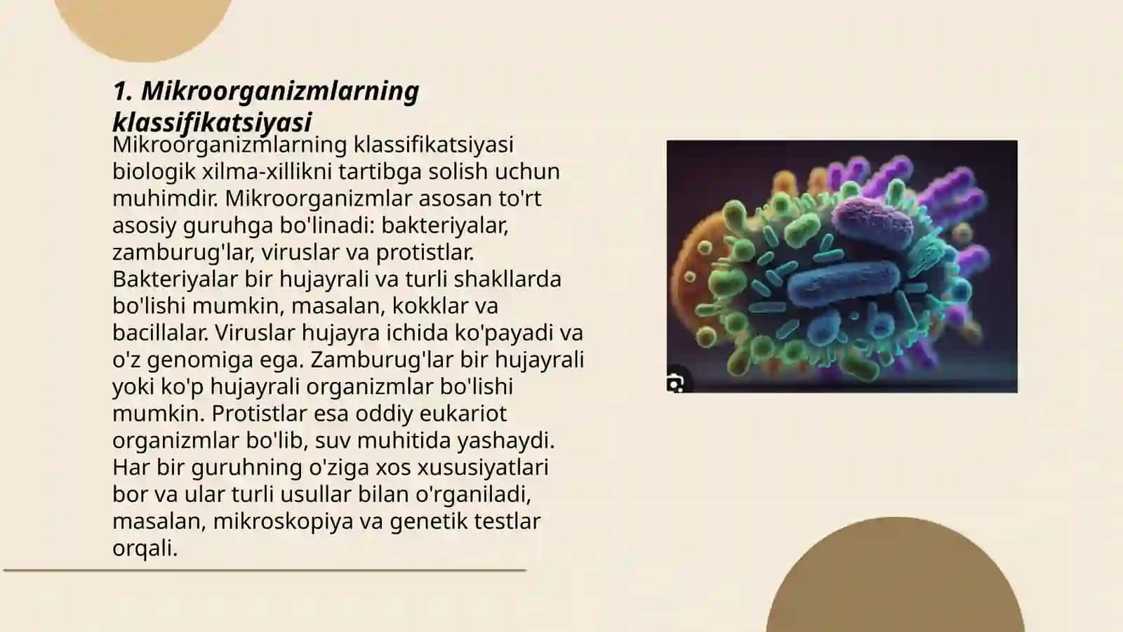 Mikroorganizmlarning zamonaviy sistematikasi 3