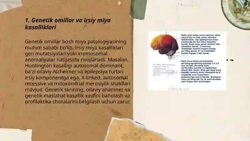 Bosh miya patologiyasining kelib chiqish sabablari 3
