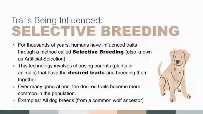 Technology and Inheritance of Traits
Science Presentation in Neutrals 3