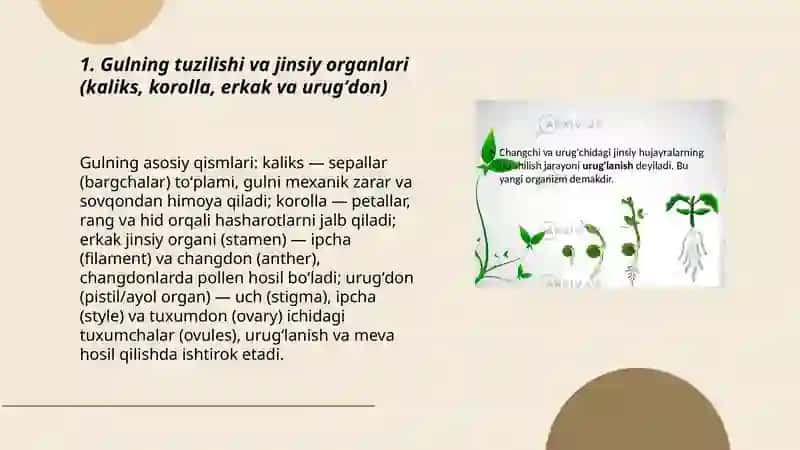 Oʻsimliklarning jinsiy koʻpayishi 3