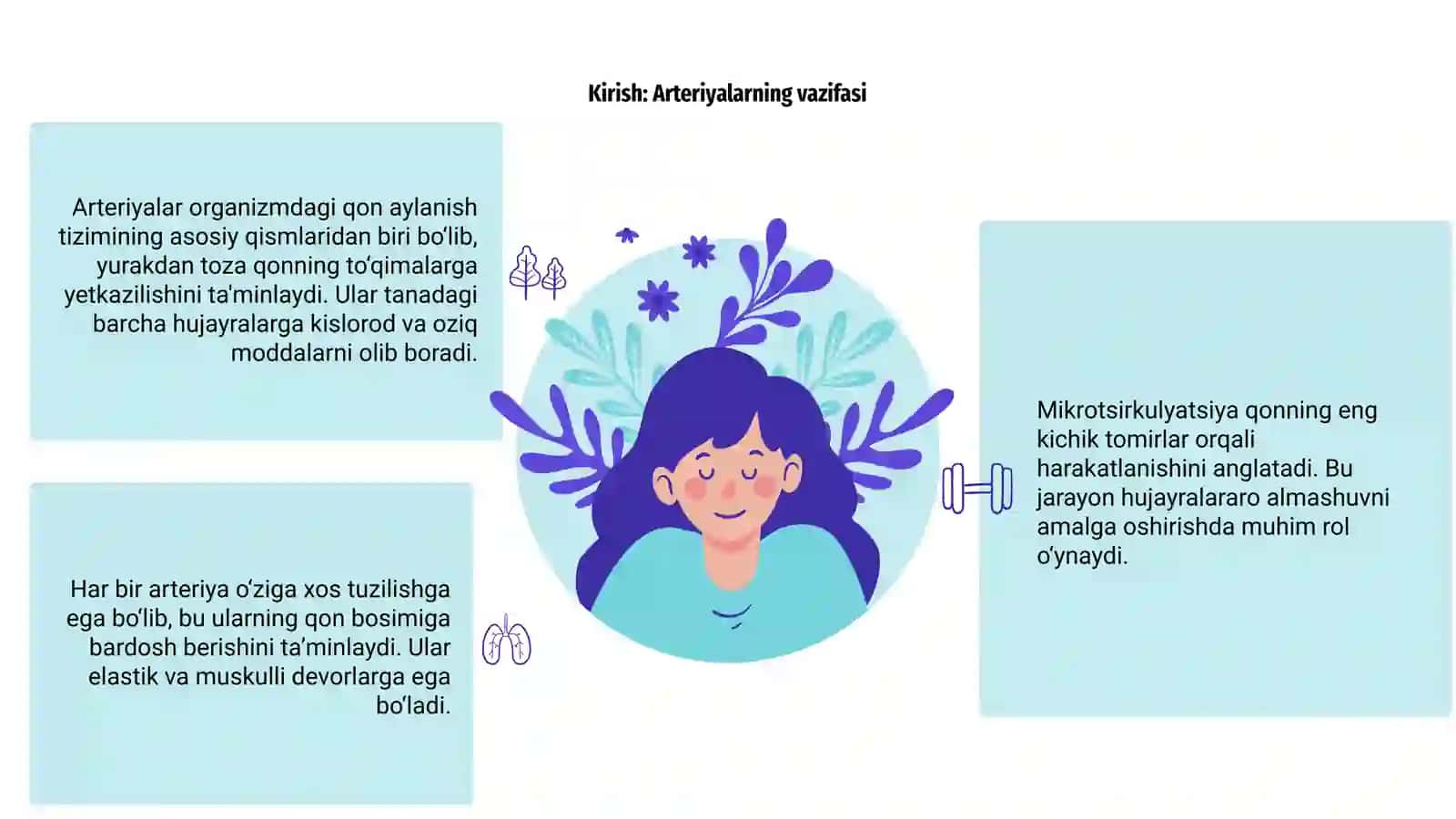 Arteriyalarning tarqalish qonuniyatlari. Mikrotsirkulyasiya haqida tushuncha 3