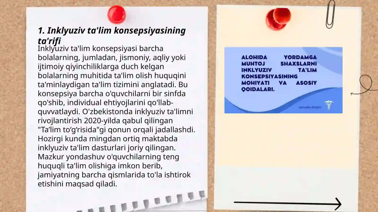 Alohida yordamga muhtoj shaxslarni inklyuziv taʼlim konsepsiyasining mohiyati va asosiy qoidalari 3