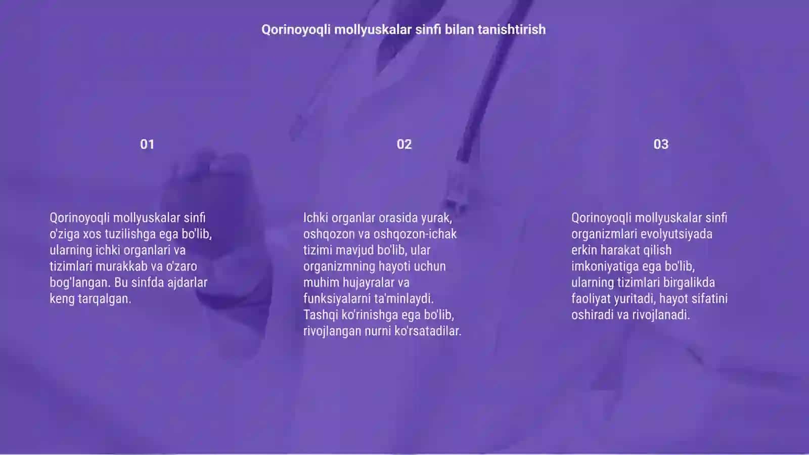 Qorinoyoqli mollyuskalar sinfi 3