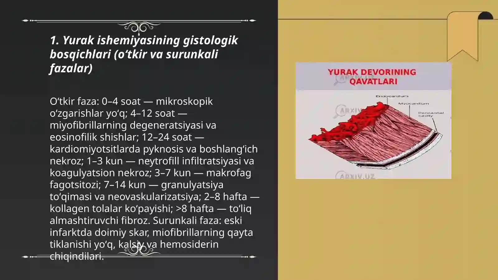 Yurak ishemiyasi gistologiyasi 3