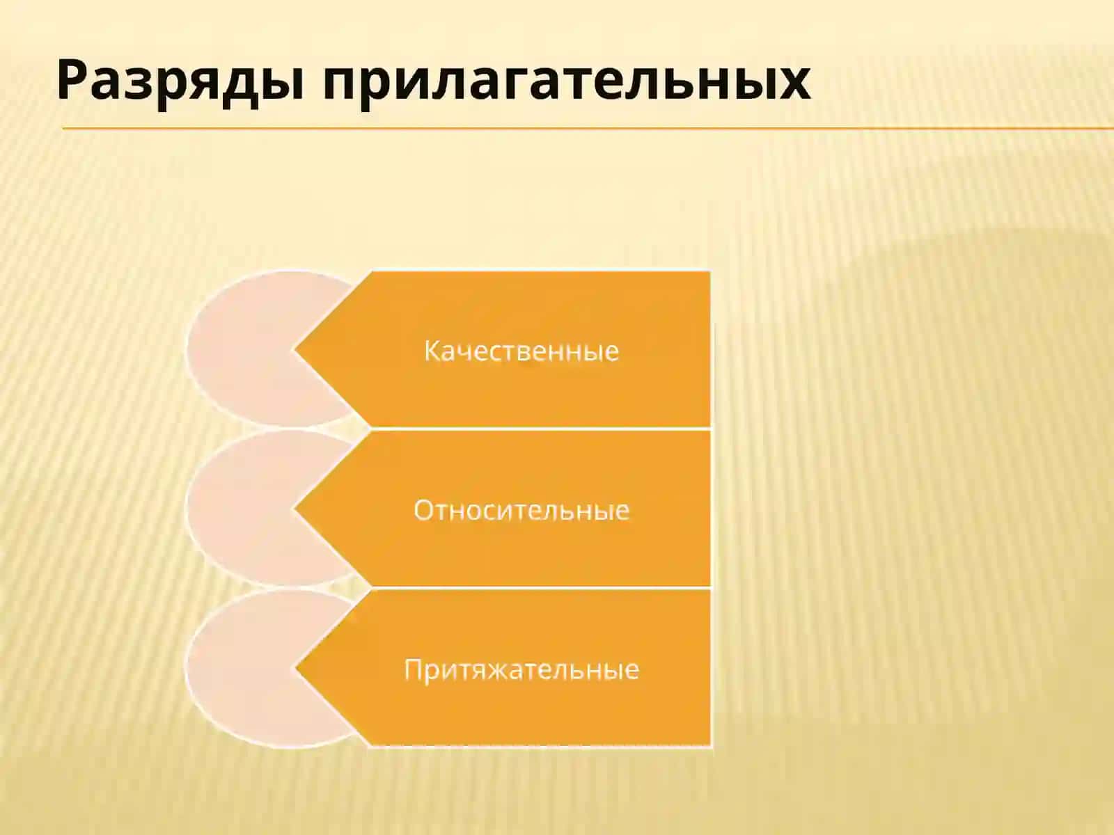 Имя прилагательное. Качественные прилагательные 3