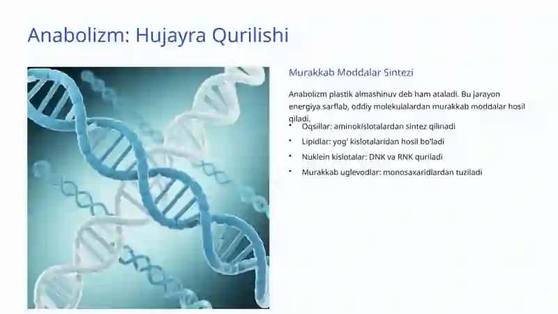 Hujayra Metabolizmi: Hayotning Kimyoviy Asosi 3