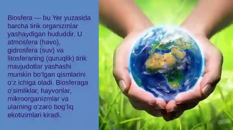 Antropagen omilarni biosferaga salbiy tasirini kamaytiramiz 3