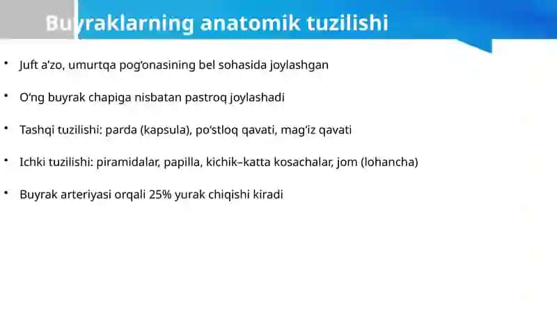 Siydik chiqarish tizimi va tanosil a’zolarning funksional va klinik anatomiyasi, yoshga oid o‘zgarishlari, rivojlanish nuqsonlari. 3