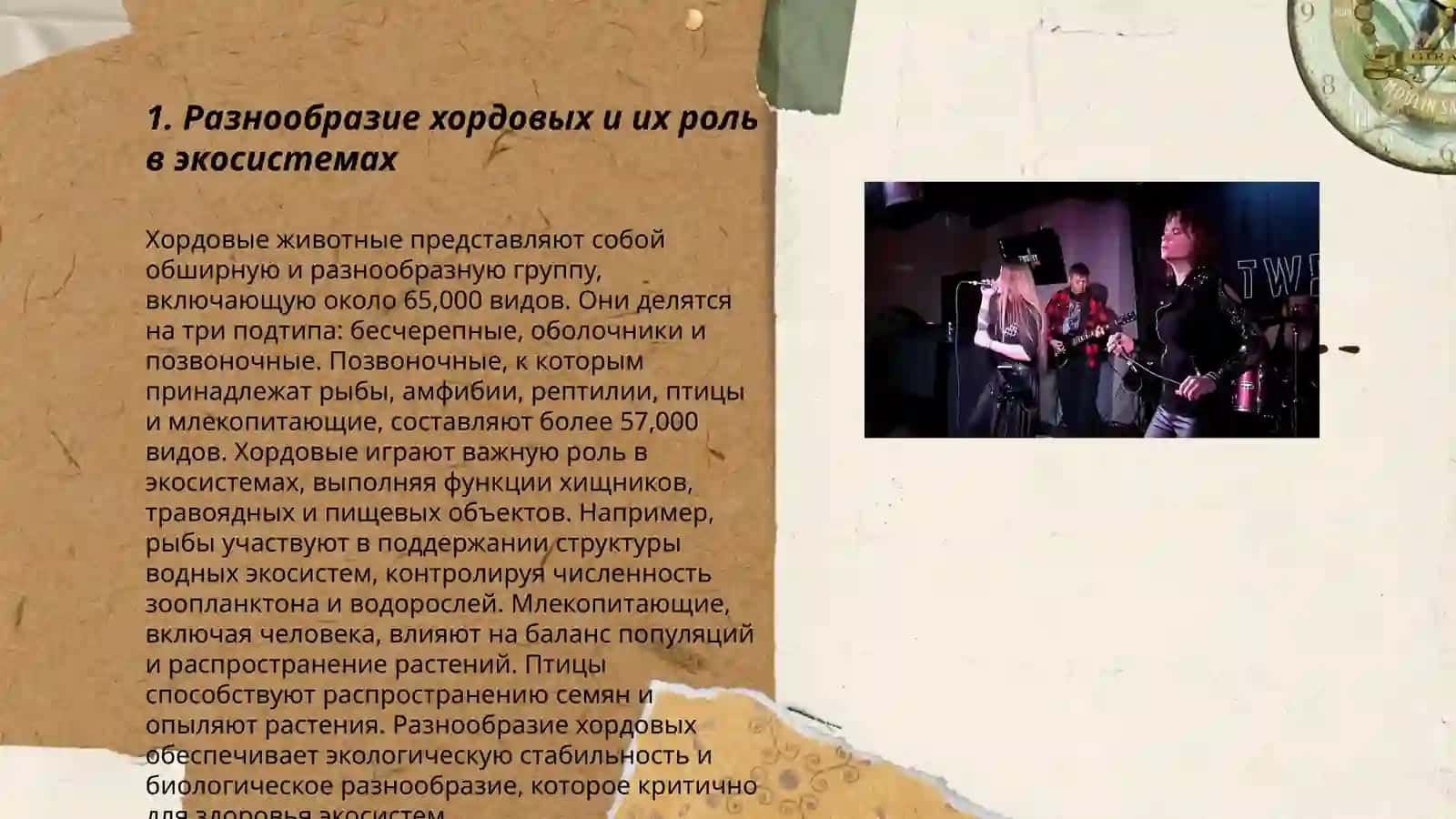 Роль хордовых в биосфере 3