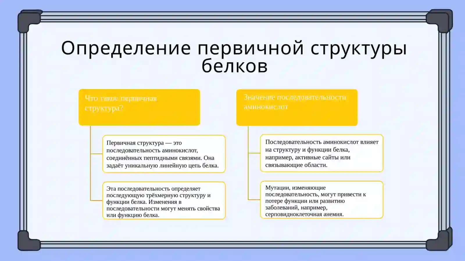 Первичная структура белков и пептидов 3