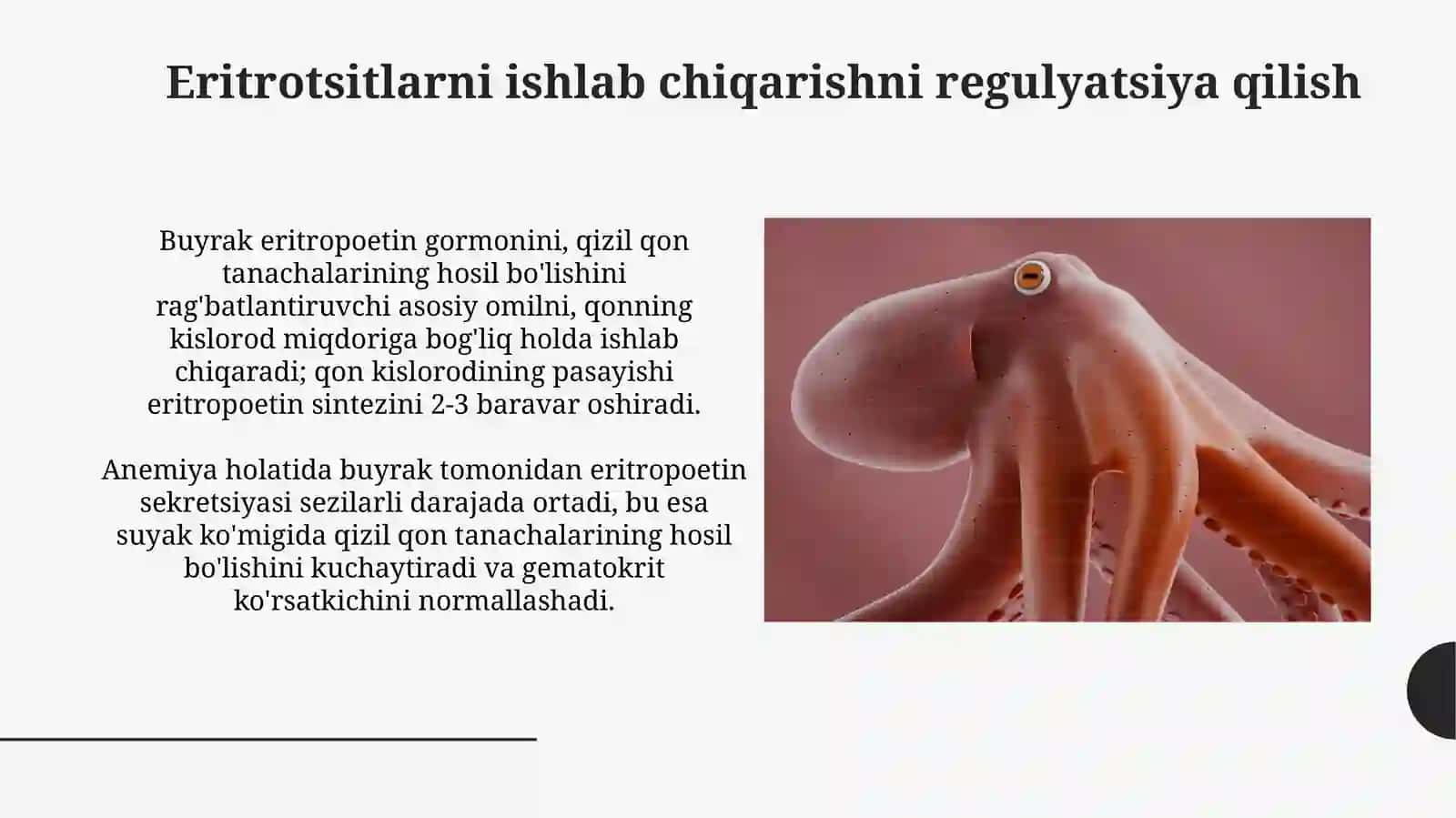 Buyrakning gomeostatik vasekretorfunksiyalari 3
