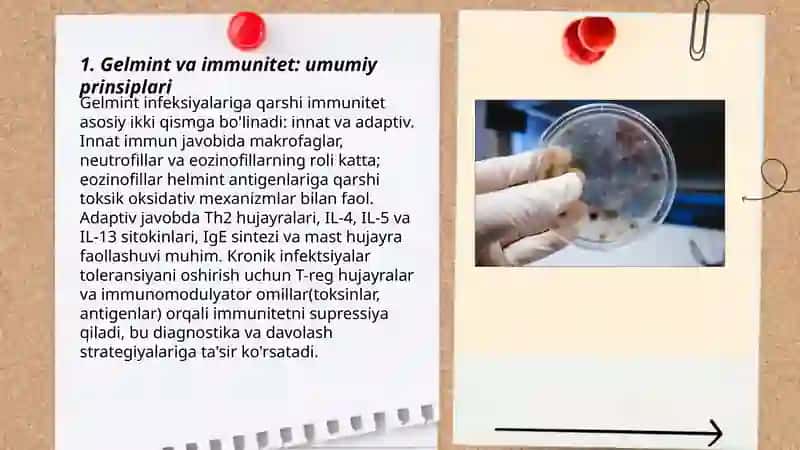Gelmintar Tibbiyot Amaliyotidagi Ahamiyati va Diagnostikasi 3