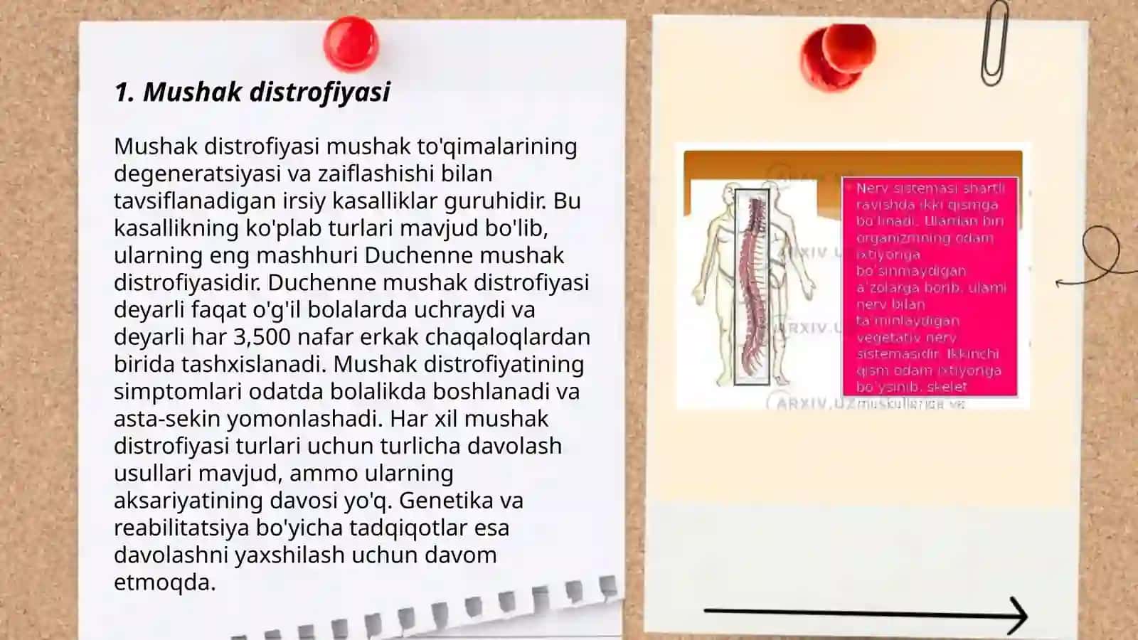 Mushak sistemasining kasalliklari 3