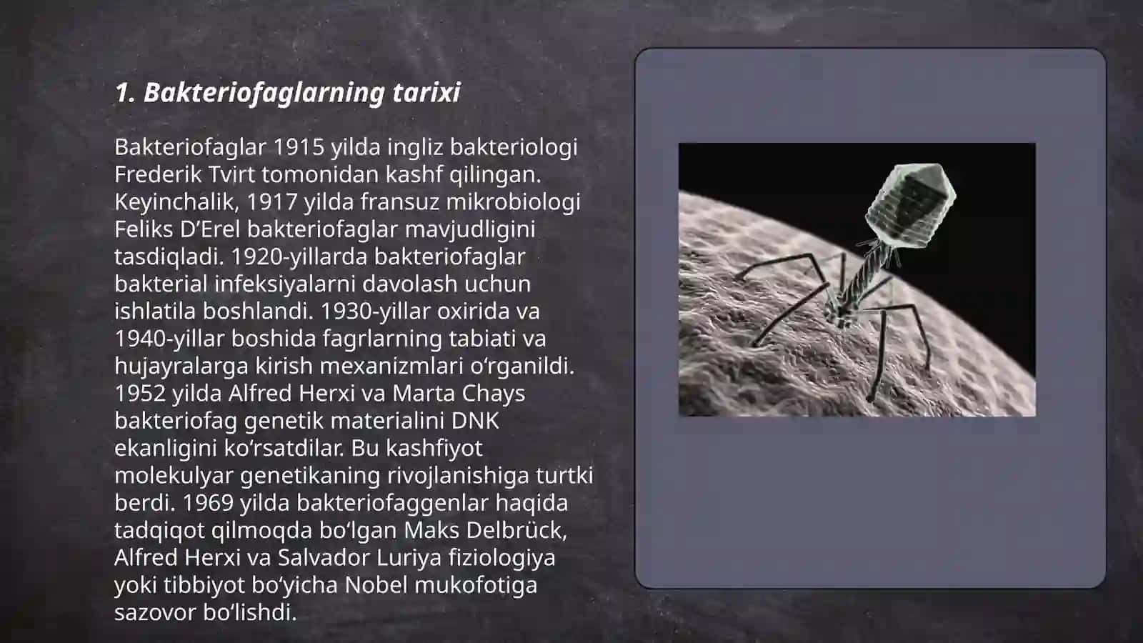 Bakteriofaglar 3
