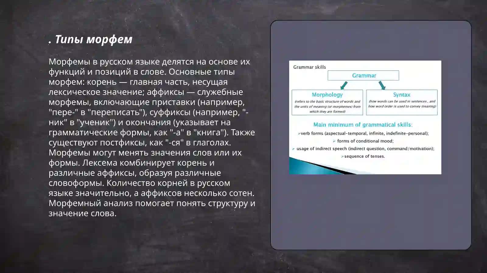 Основные вопросы морфология 3