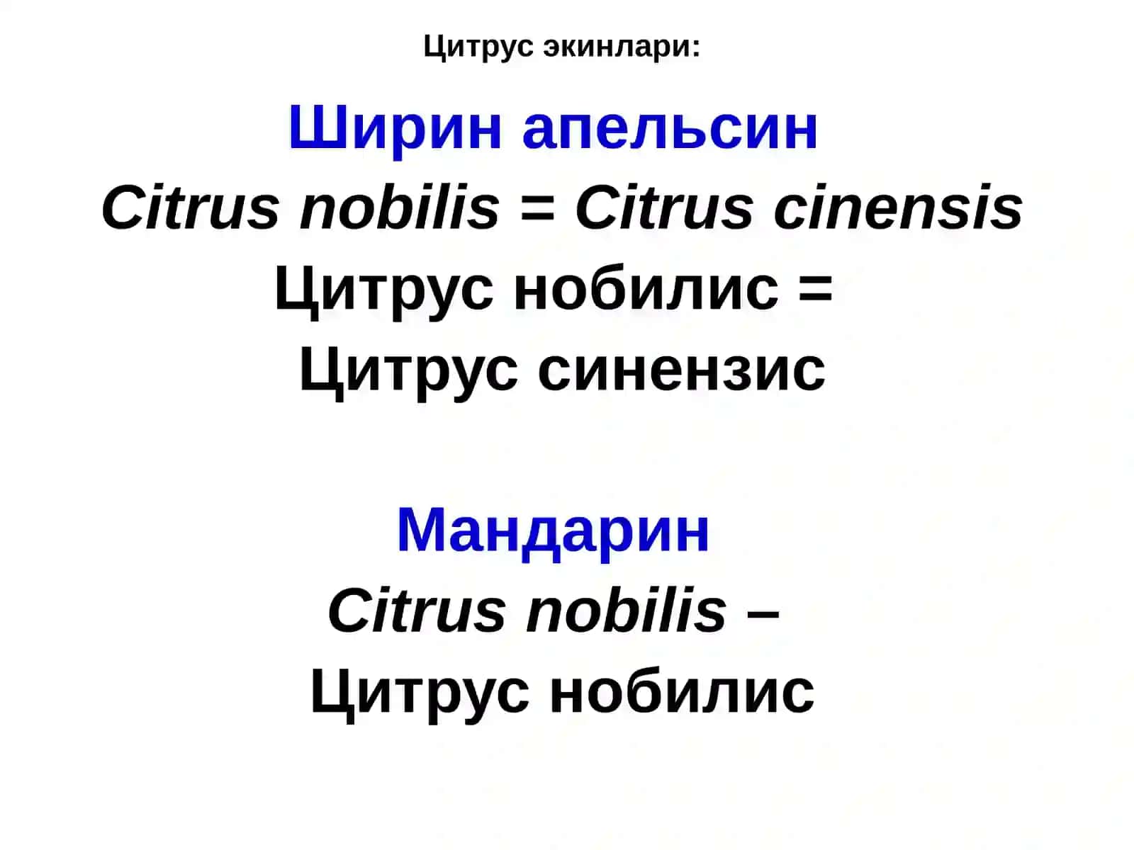 ЦИТРУС ЭКИНЛАРИНИНГ КАСАЛЛИКЛАРИ 3