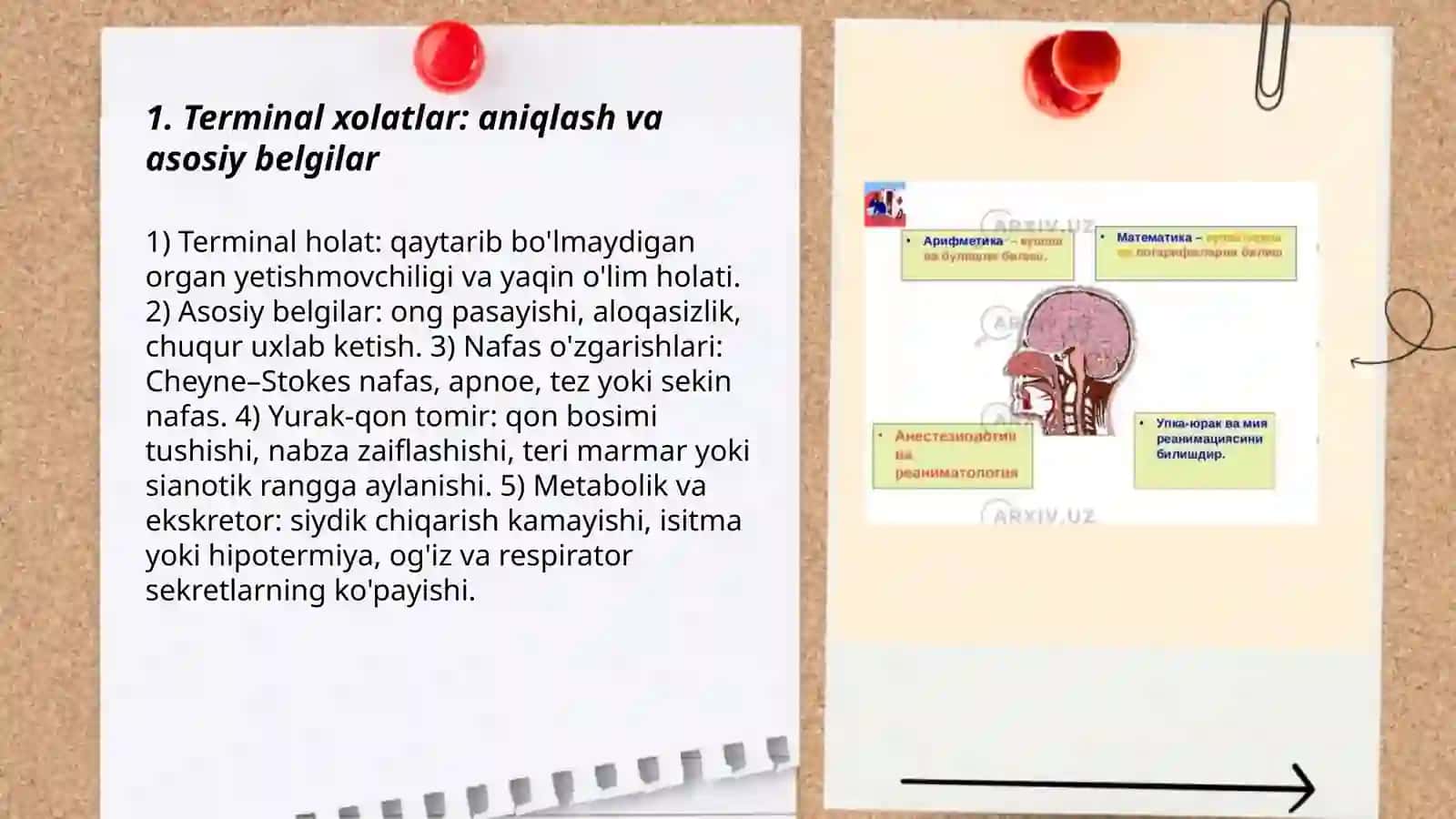 Terminal xolatlar 3