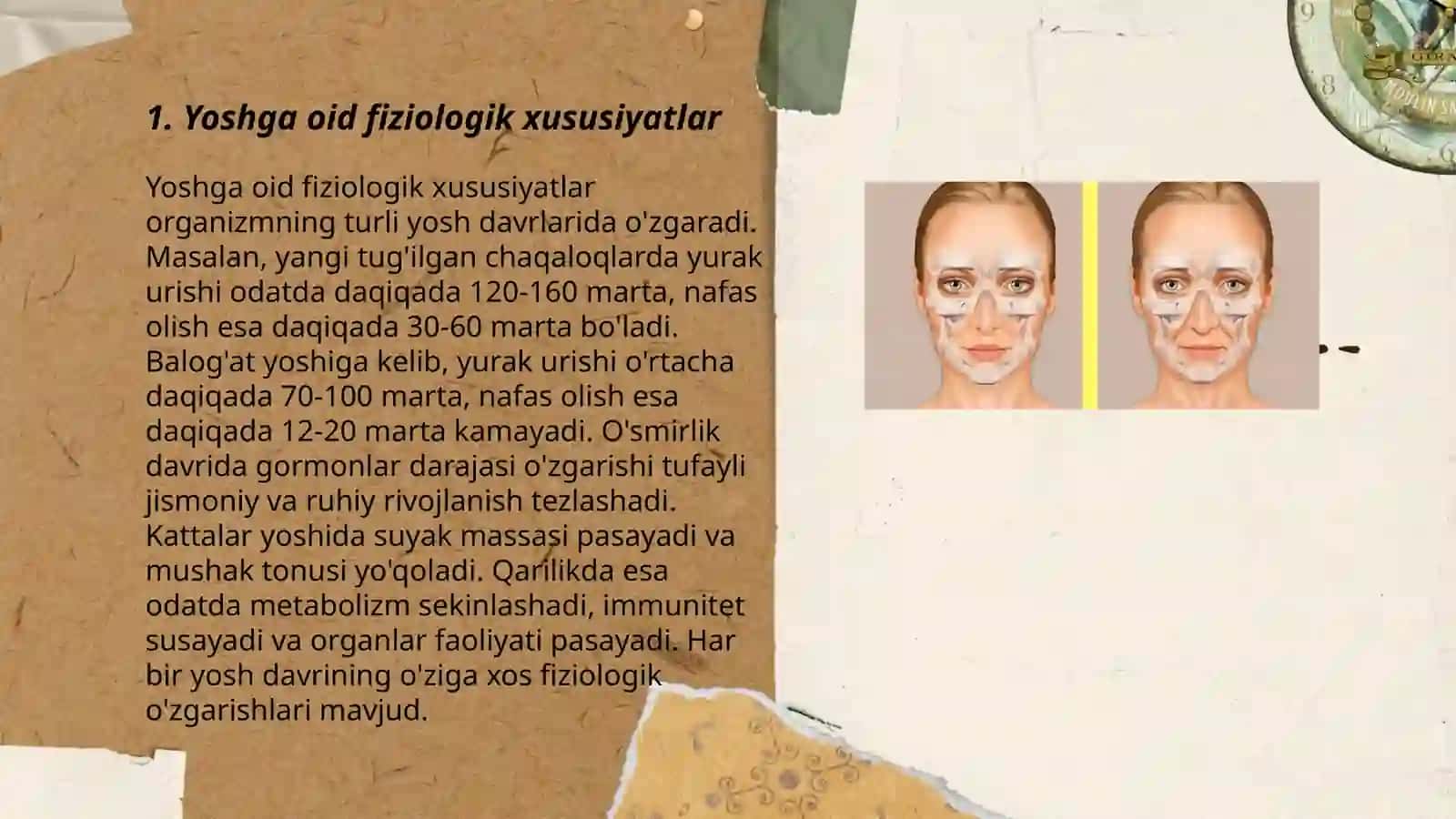 Ayiruv tizimining yoshga oid fiziologiyasi va gigiyenasi 3
