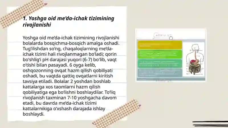 Ovqat hazm qilish va ovqatlanishning yoshga oid fiziologiyasi va gigiyenasi 3