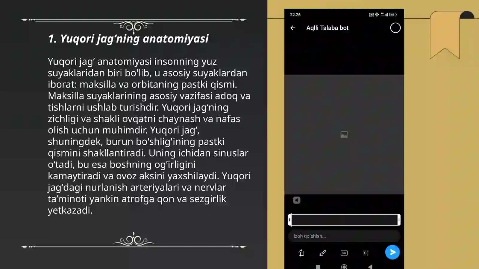 Yuqori jagʻning anatomiyasi 3