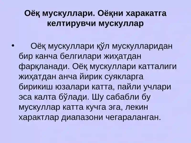 Оёқ камарининг мускуллари 3