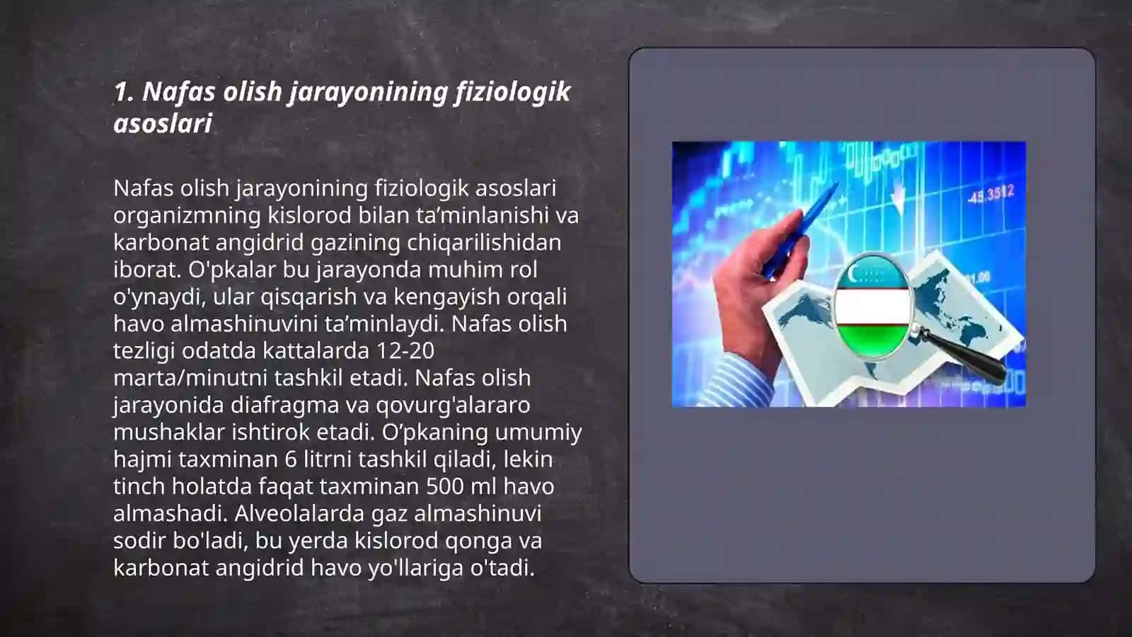 Nafas fiziologiyasi 3